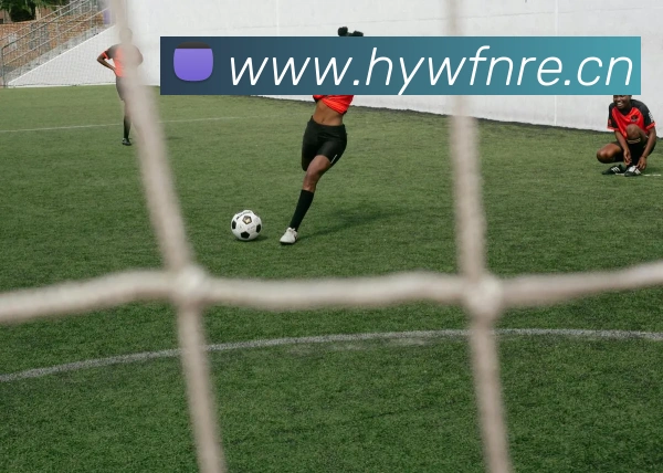 米兰体育网页官网平台生态图